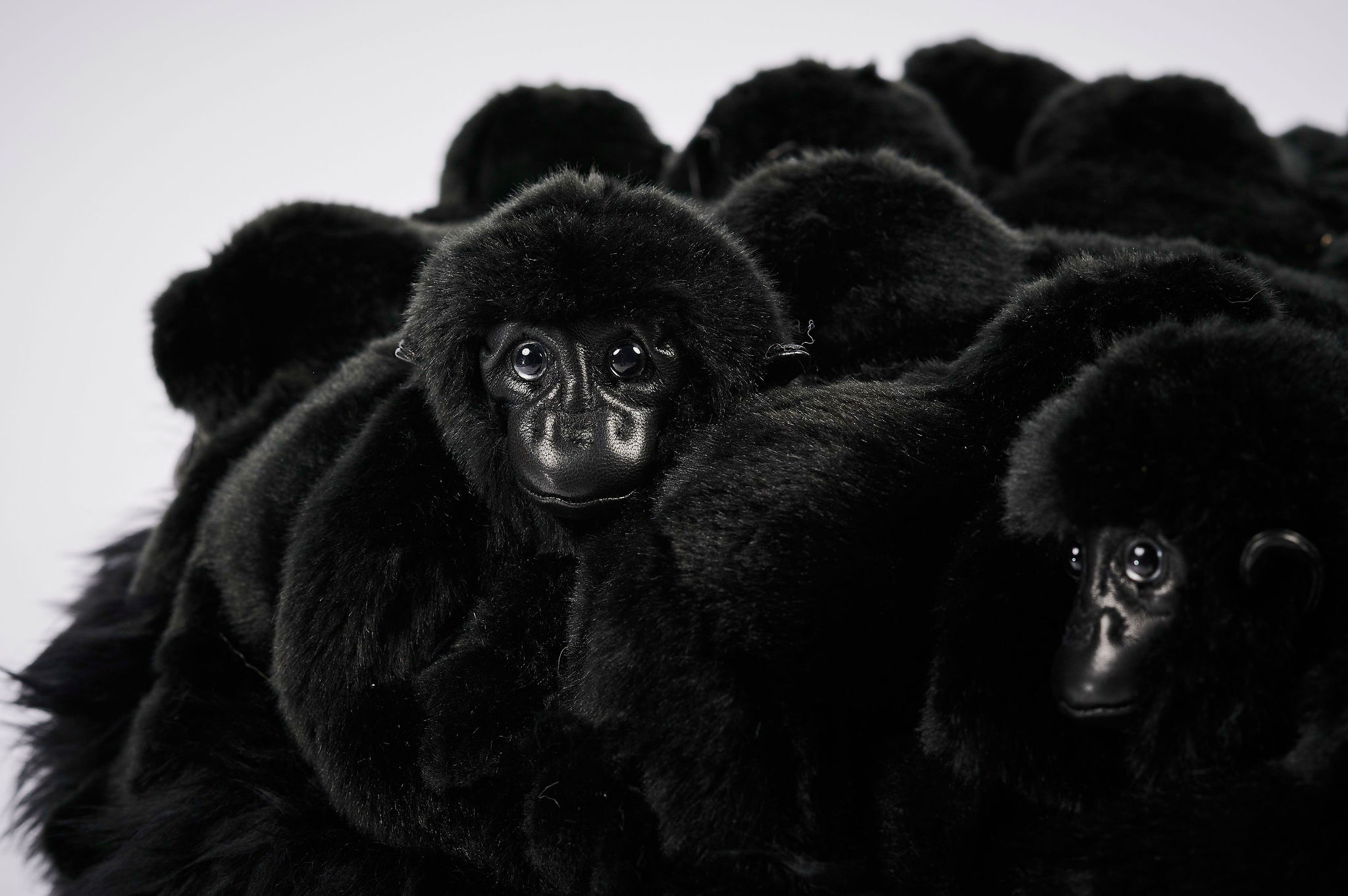 Gorilla Hocker Gorilla Hocker