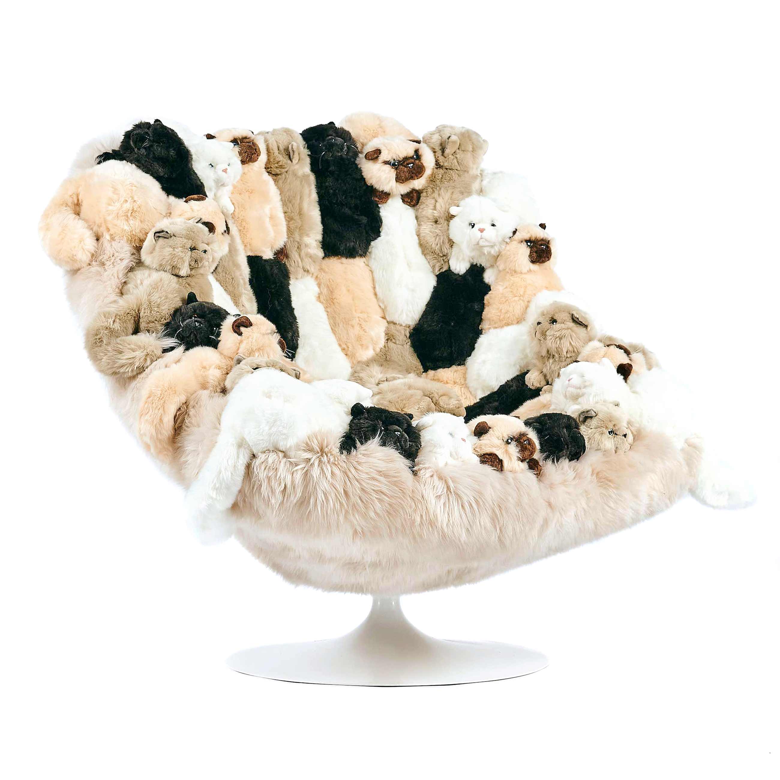 Aristo Cats Sessel Aristo Cats Sessel