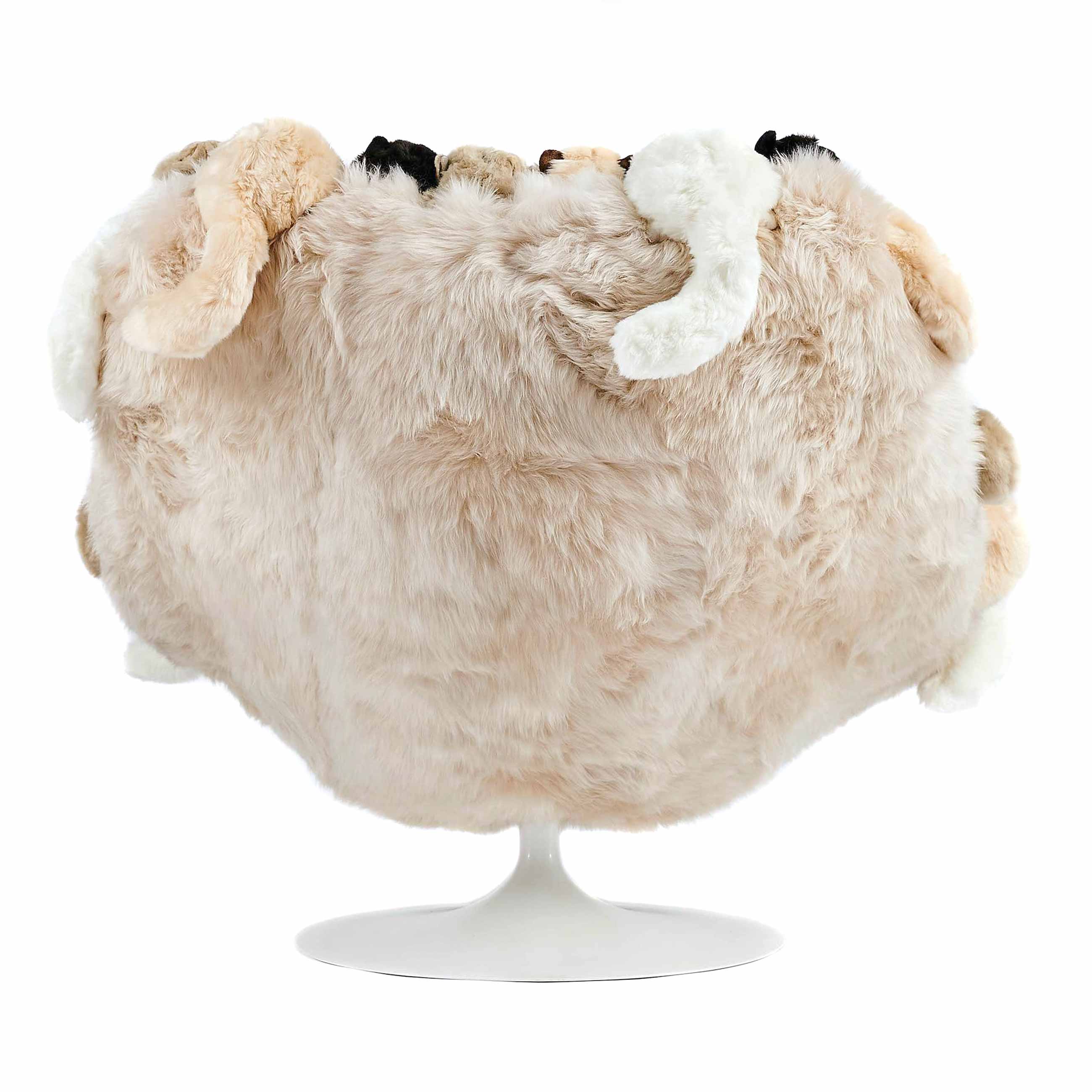 Aristo Cats Sessel Aristo Cats Sessel
