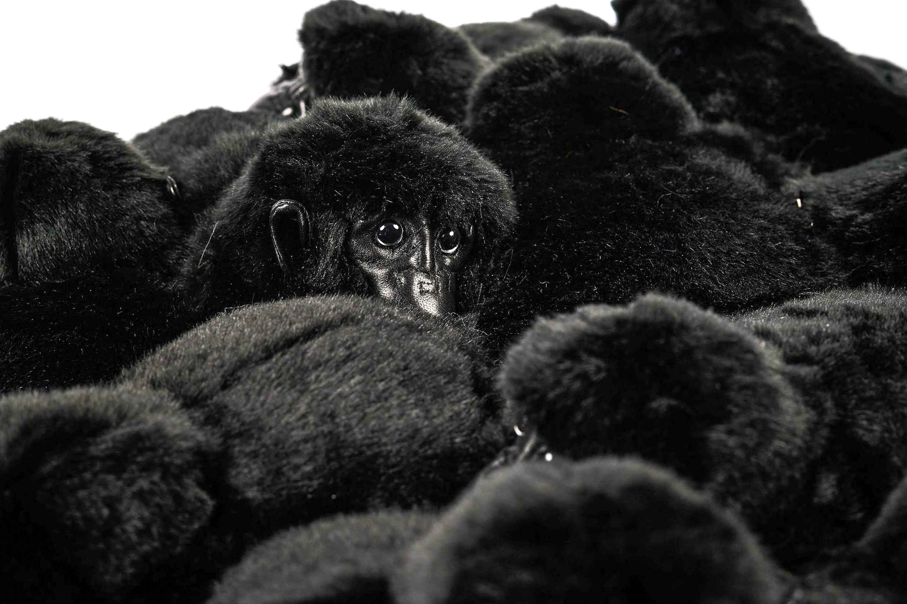 Gorilla Hocker Gorilla Hocker