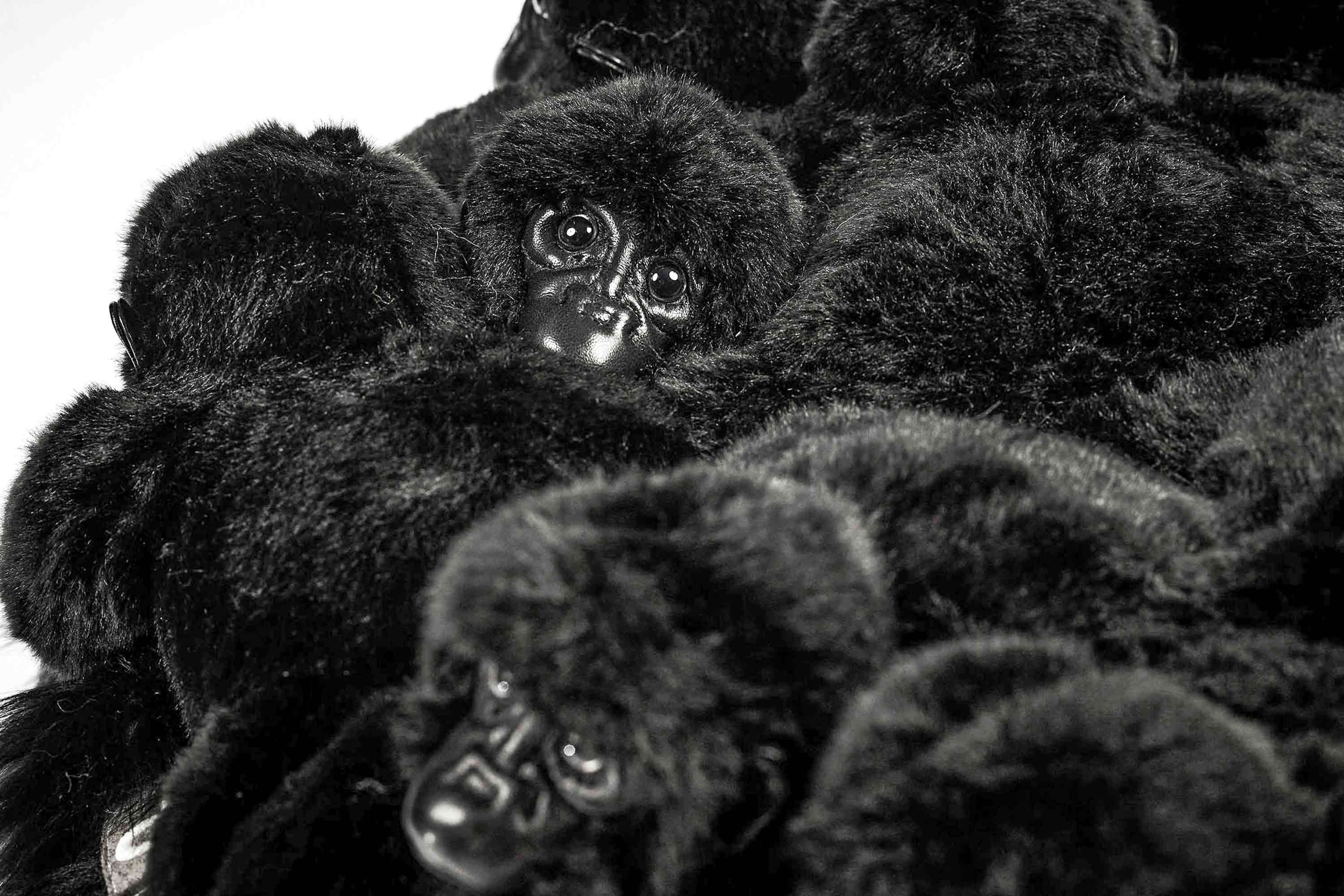 Gorilla Hocker Gorilla Hocker