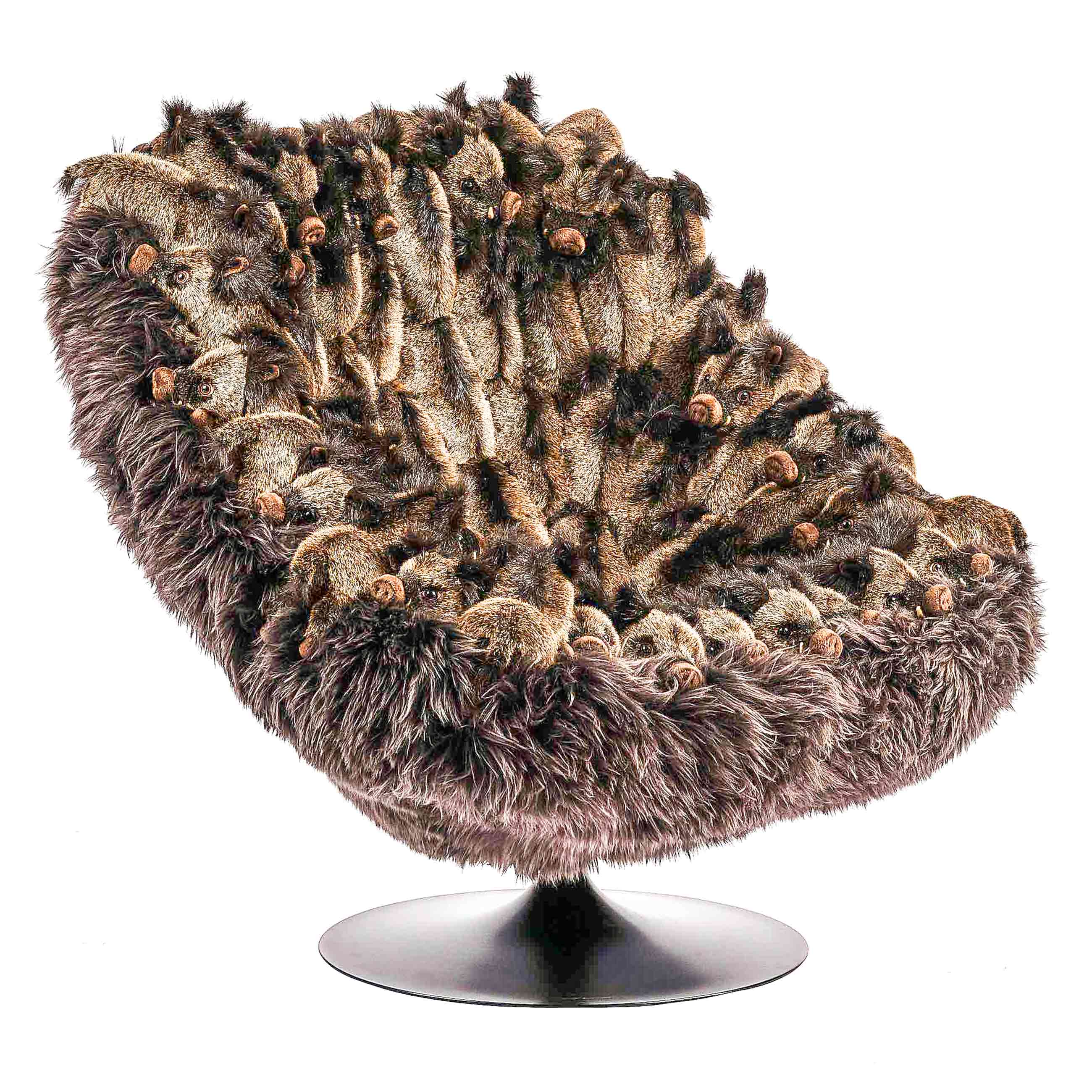 Wildschwein Sessel Wildschwein Sessel
